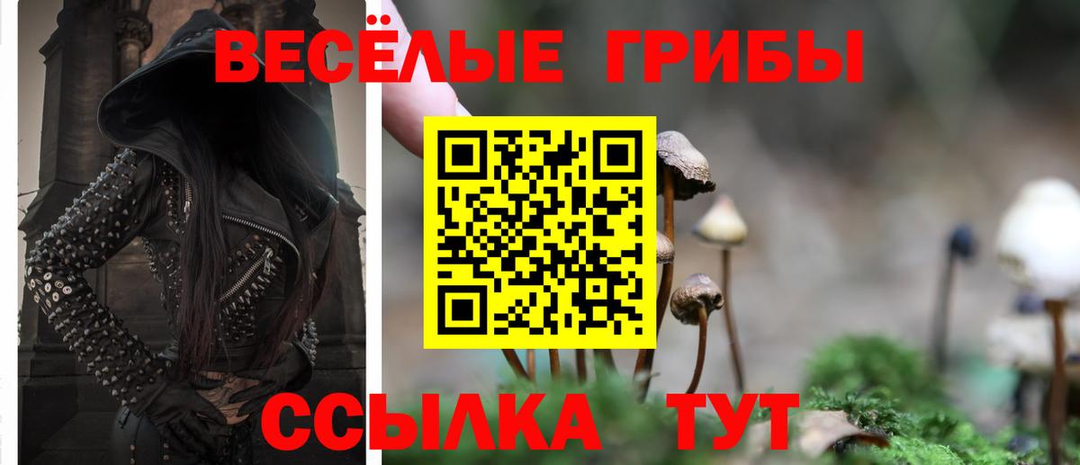 Псилоцибиновые грибы Magic Shrooms  Вход с VPN  Клин 